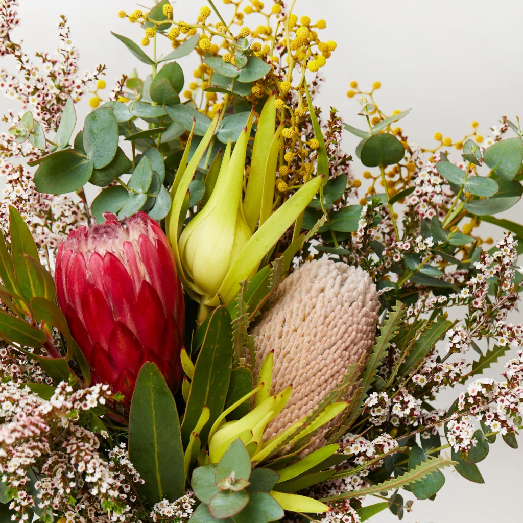 Why Does a Florist Kirribilli Stock More Native Blooms in Summer?